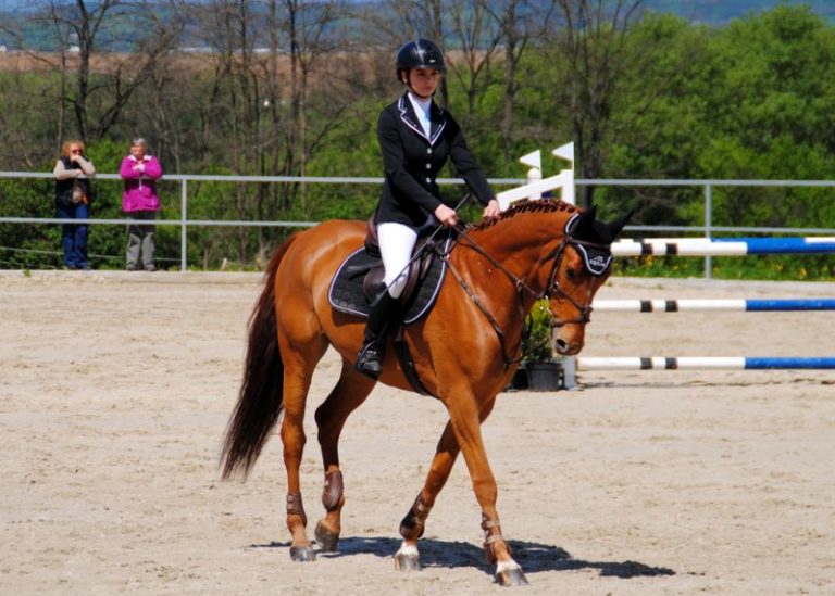 Equestrian clothing for the house riders 
