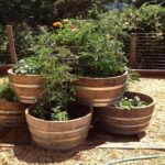 The Need To Build a Garden Barrel