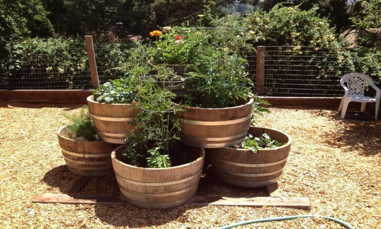 The Need To Build a Garden Barrel