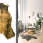 Unleash Your Style with Cowhide Rugs How Can These Unique Statement Pieces Transform Your Space