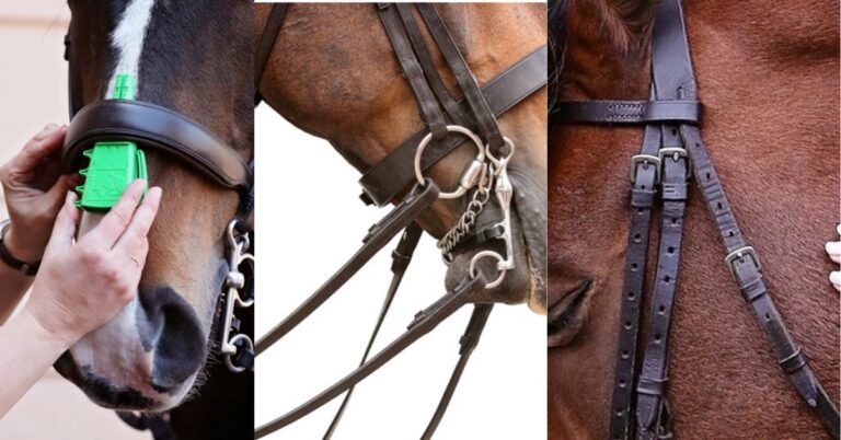Exploring the Purpose and Features of Cob Size Bridles